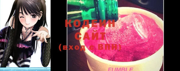 ECSTASY Елизово