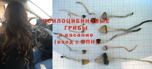 герыч Ельня