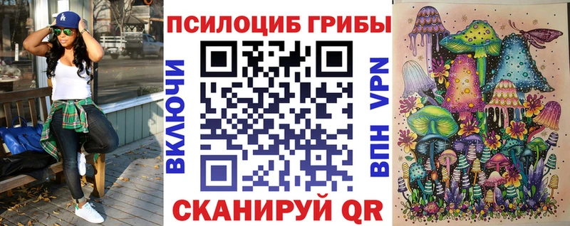 Купить закладки  Змеиногорск  Галлюциногенные грибы Magic Shrooms 